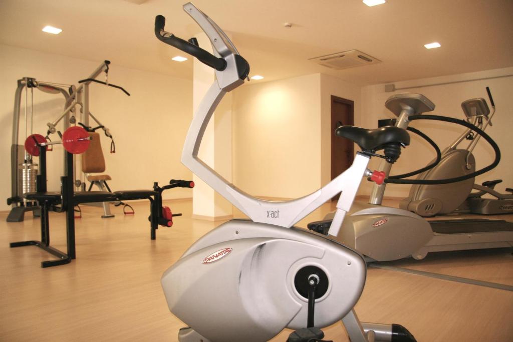 Fitness centrum a/nebo fitness zařízení v ubytování Delfina Palace Hotel
