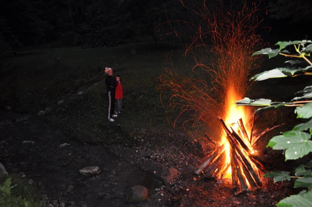 Fotografie z fotogalerie ubytování Pensiunea Anotimpuri v destinaci Predeal