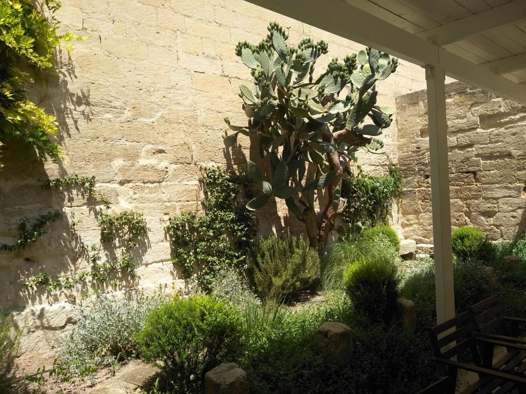 Zahrada ubytování Il Giardino Di Benedetta