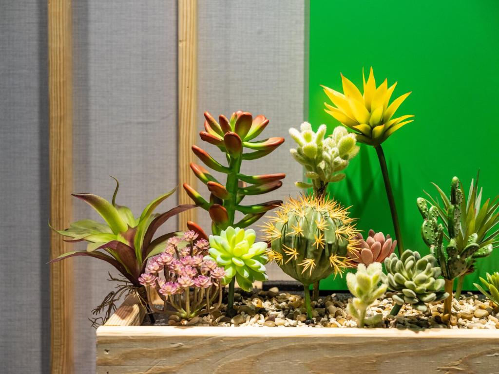 a display of succulent plants in front of a mirror at Gwawa Hotel in Kaohsiung
