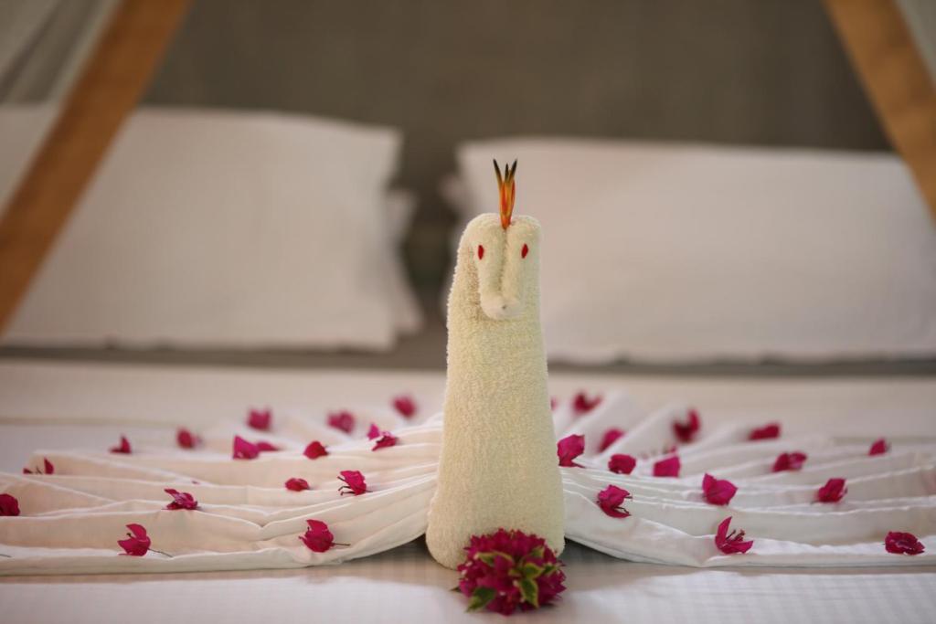 Mangrove Beach Chalets - 12