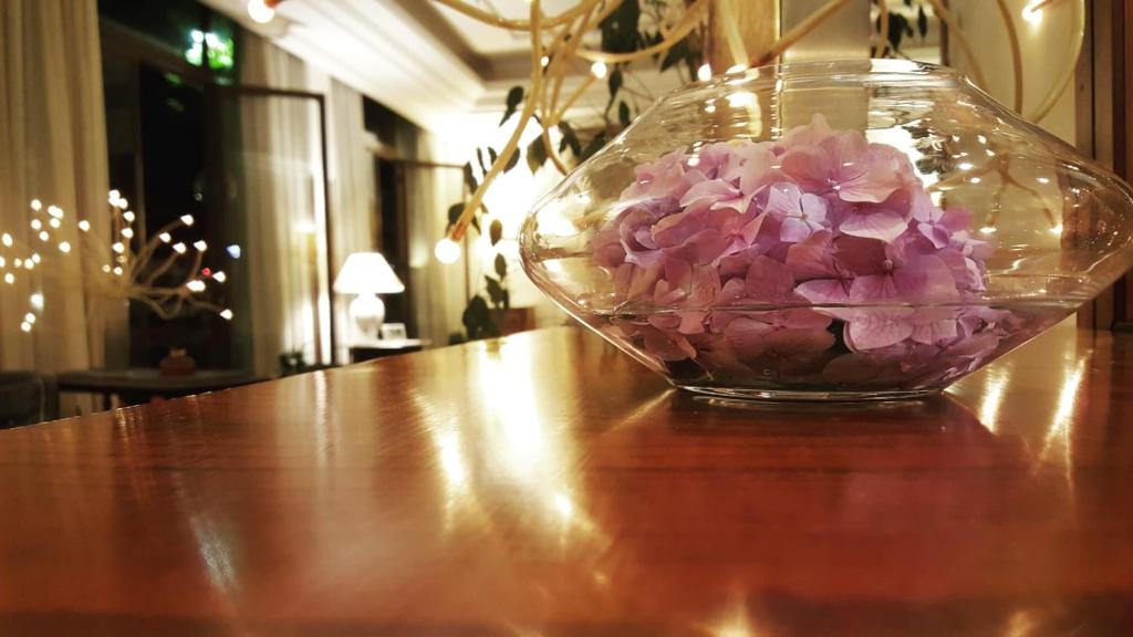 Fotografie z fotogalerie ubytování Hotel Delle Ortensie v destinaci Fiuggi