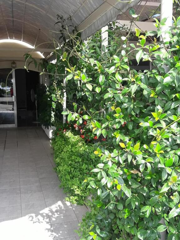 Zahrada ubytování Hotel Florakis