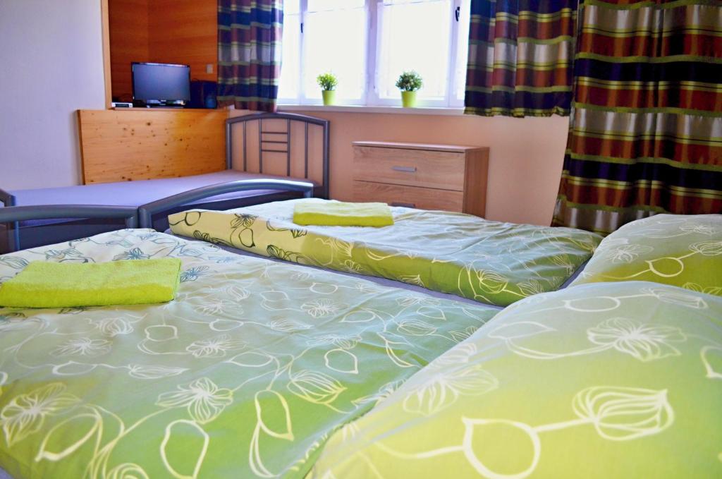 Postel nebo postele na pokoji v ubytování Vinařství Koliba