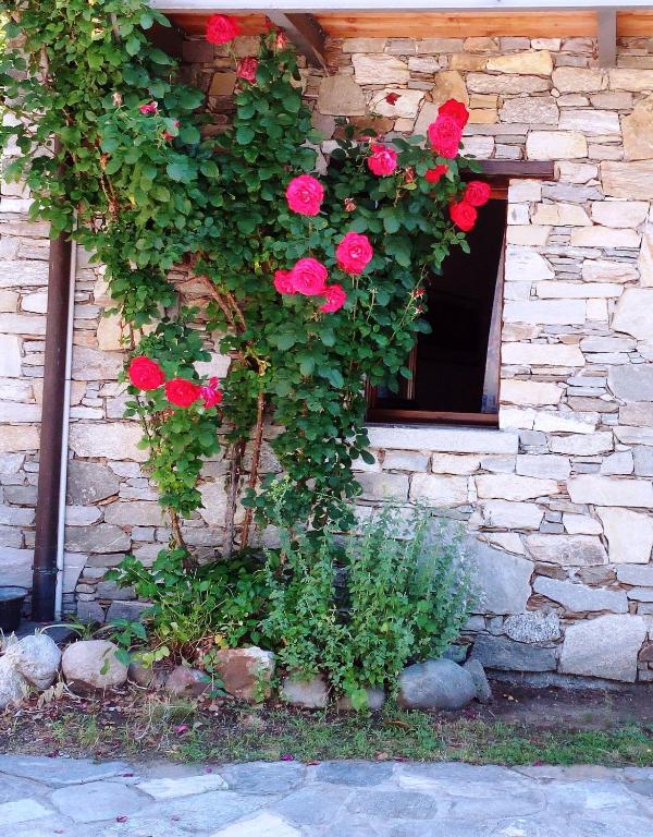 Zahrada ubytování Casa Cicala