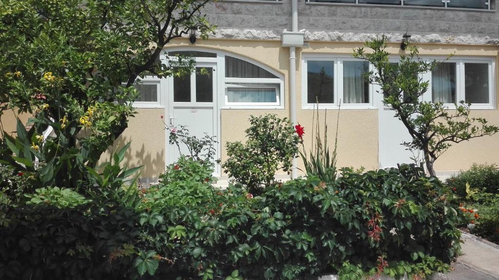 Kotor Kelly Apartments - 14