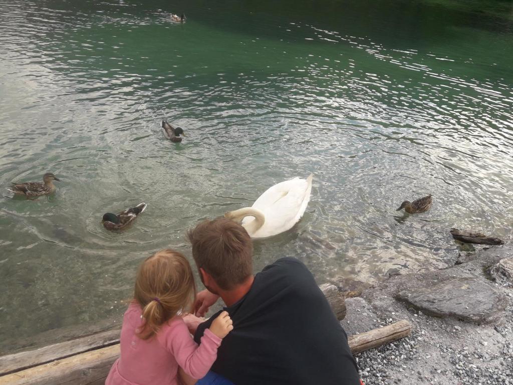 Hosté ubytování Pension Chalet Bergseegut