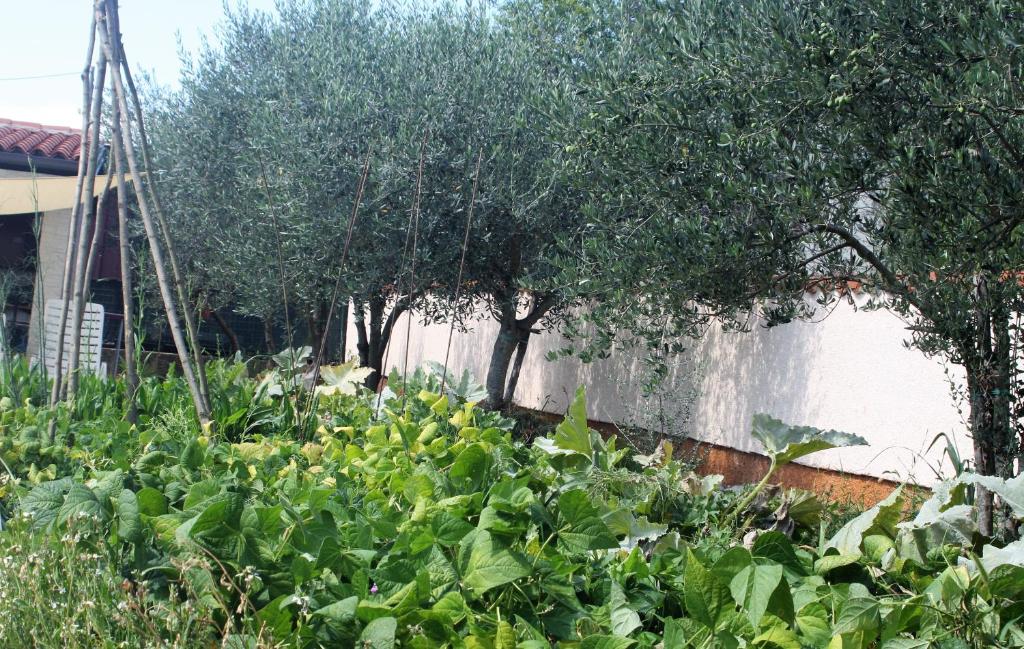 Apartments Morje - 6