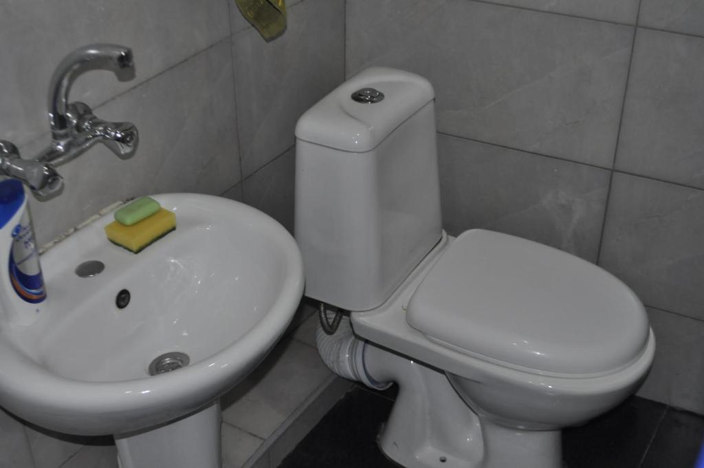 Koupelna v ubytování Guesthouse Dariali