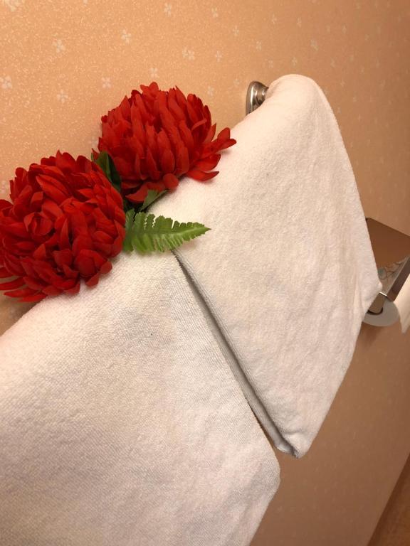 Fotografie z fotogalerie ubytování Hotell Björnidet v destinaci Torsby