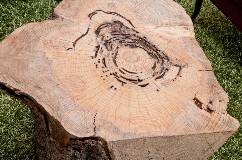 Hotel Chez Swann - Resim 20