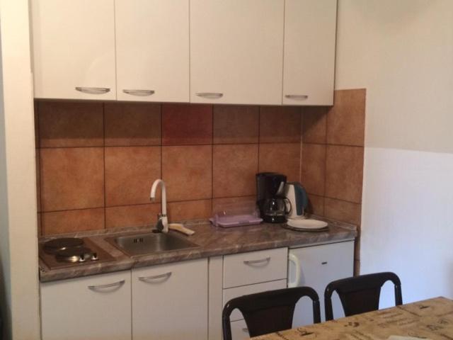 a kitchen with a sink and a table with chairs at Apartman Lovor in Medulin