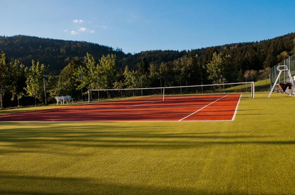 Tenis a/nebo squash v ubytování Naturhotel Rebling nebo okolí