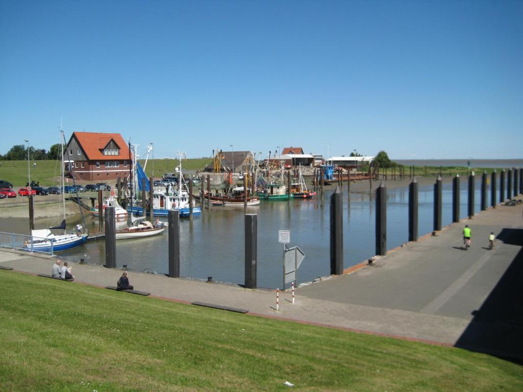 a marina with boats in the water and people sitting on the grass at Ferienwohnungen Aika in Burhave
