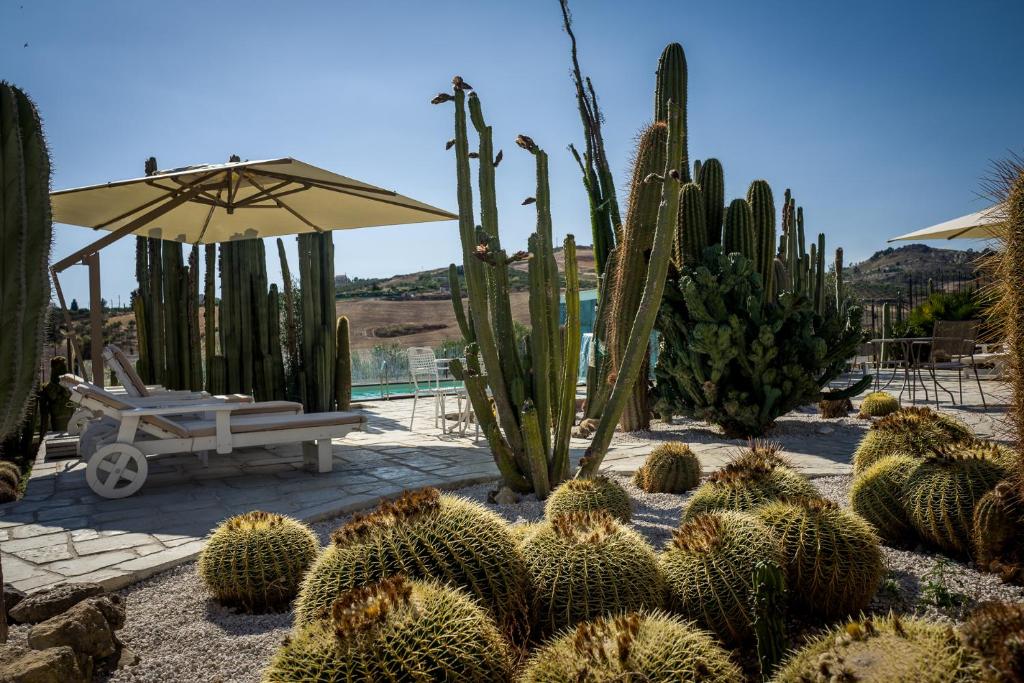 Relais Garden Cactus B&B
