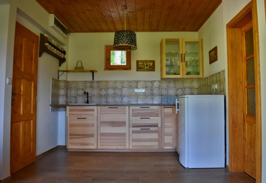 Kuchyň nebo kuchyňský kout v ubytování Ubytování Ranč Malenice