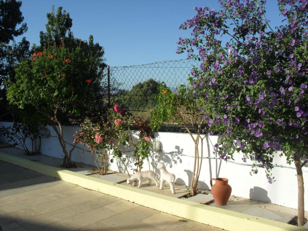 two dogs standing next to a wall with trees and flowers at Monte dos Sabores in Lagos