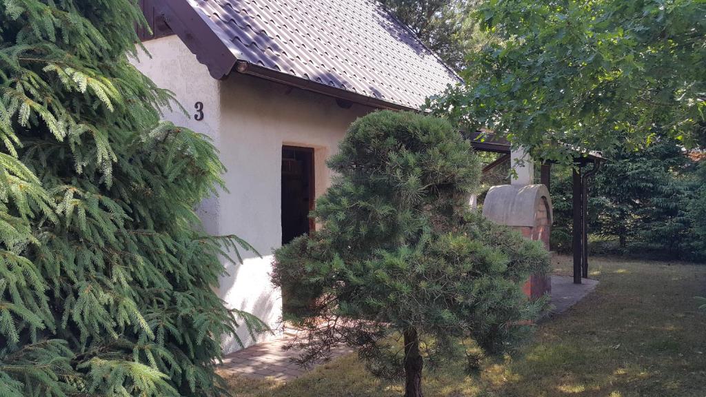 Zahrada ubytování Osada pod Czerwonym Dębem - Czarny Młyn