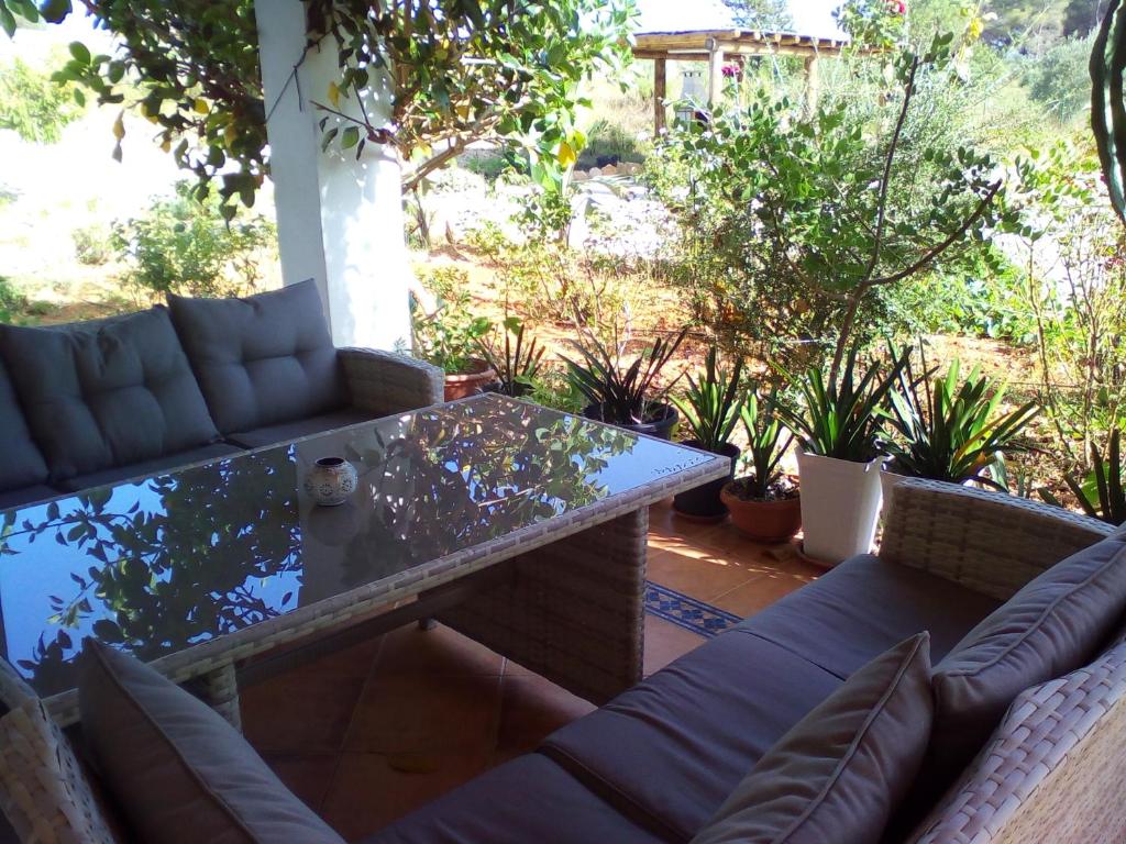 Zahrada ubytování Villa Can Toni Miquelí