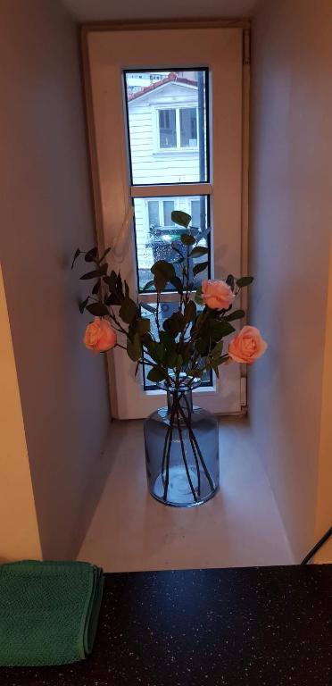 Fotografie z fotogalerie ubytování Skuteviken Apartments 40 v destinaci Bergen