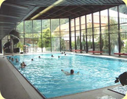un gruppo di persone che nuotano in una piscina di Erika's Haus in der Sonne a Bad Grund