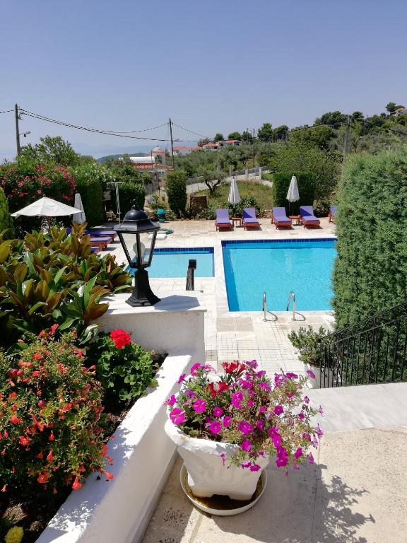 Bazén v ubytování Hotel Paradise nebo v jeho okolí