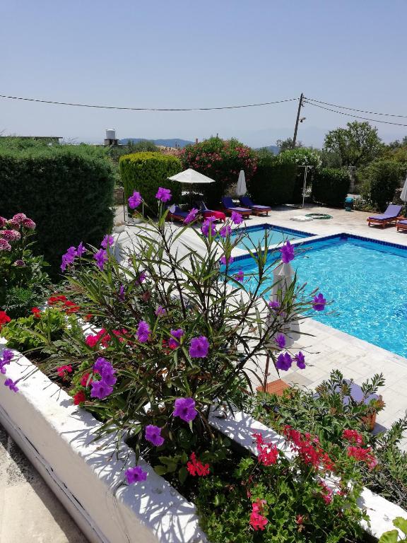 Bazén v ubytování Hotel Paradise nebo v jeho okolí