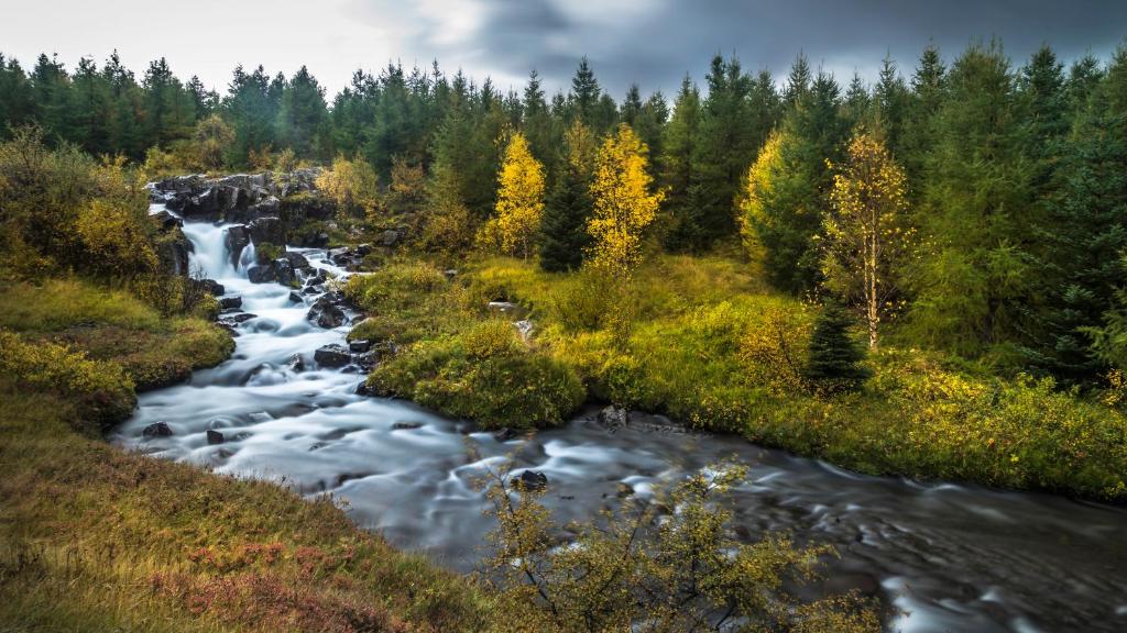 Náttúran í nágrenni sumarhússins