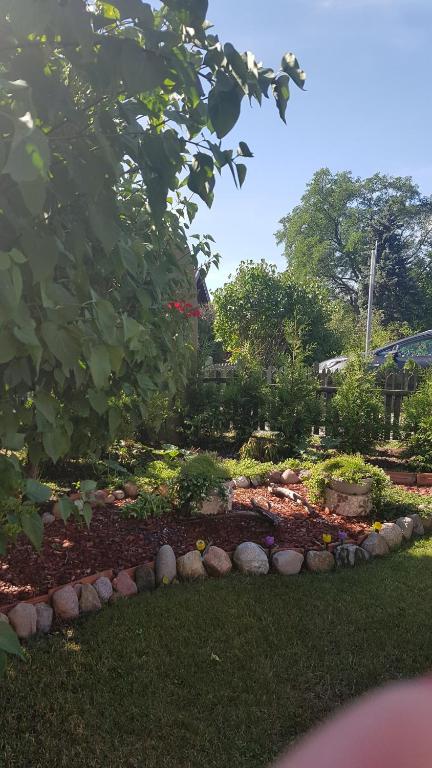 um jardim com pedras e plantas num quintal em Nida Lotmiškio 15 em Nida