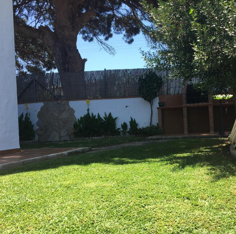 un mur blanc avec un arbre dans une cour dans l'établissement Villa Gallardo - Cerca Playa y Pueblo - Sólo Parejas o Familias, à Conil de la Frontera