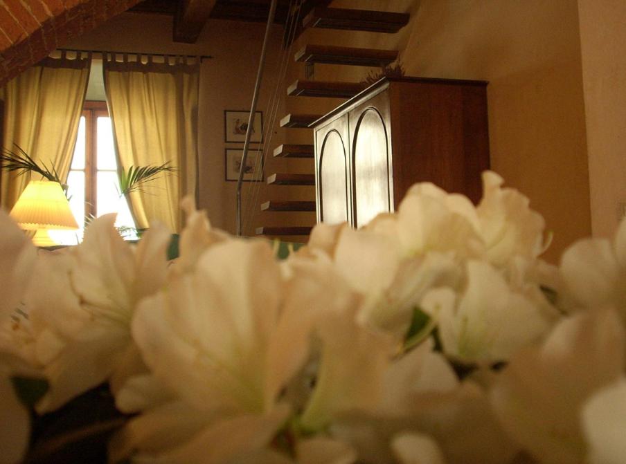 Kép Capri Moon Guest House szállásáról Firenzében a galériában