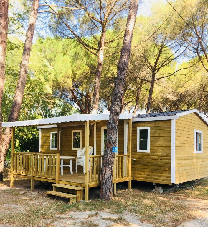 une cabane dans les bois avec une véranda et un arbre dans l'établissement Camping Maureillas, à Maureillas