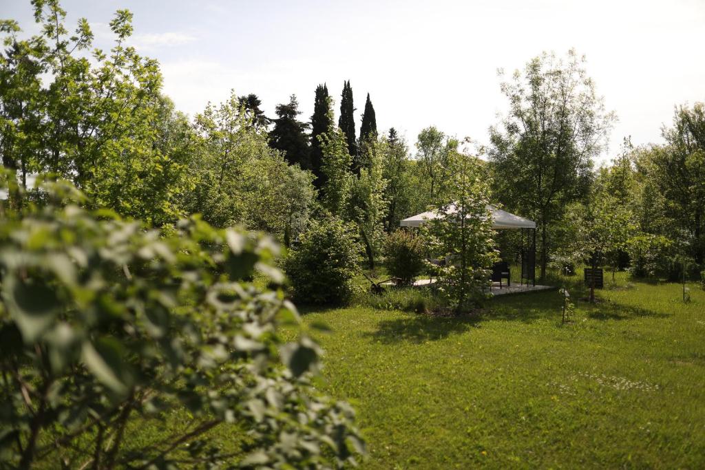 A garden outside Settecentoalberi Agriturismo