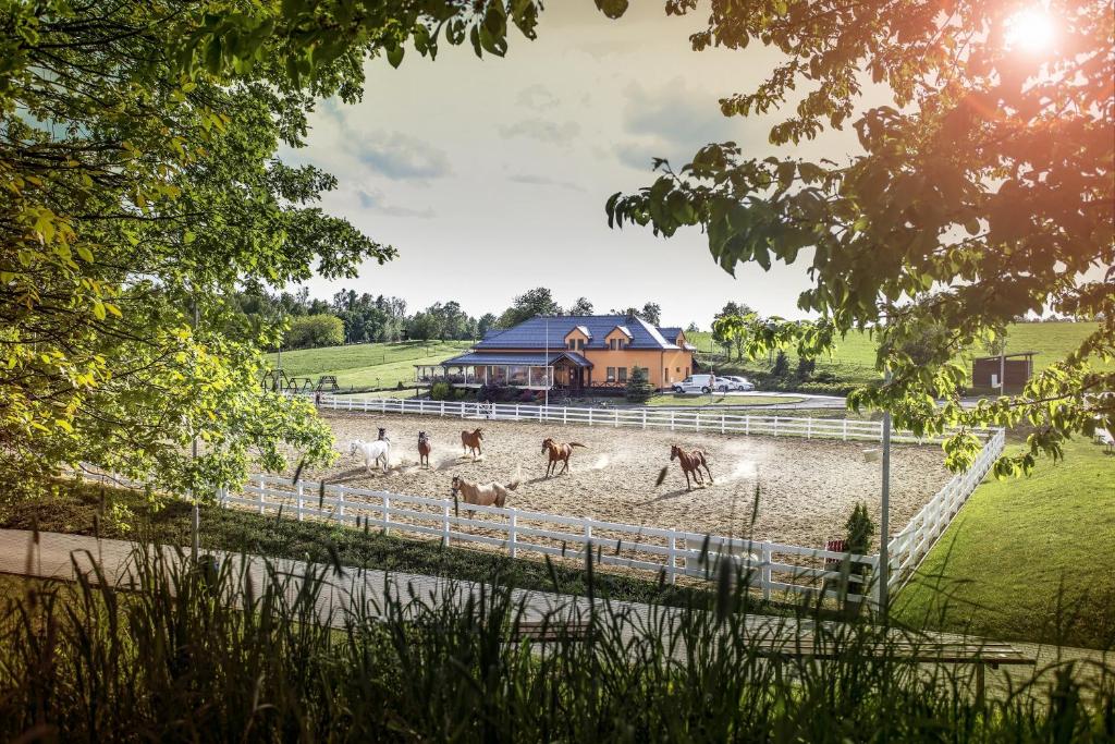 Hosté ubytování Hotel Horse Riding - Jezdecký Areál Tršice