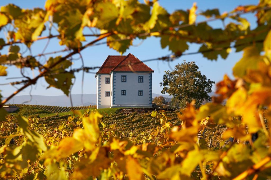 صورة لـ Wine Grower's Mansion Zlati Gric في Slovenske Konjice