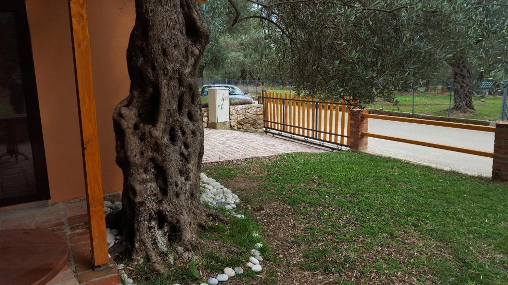 Zahrada ubytování Olive Paradise