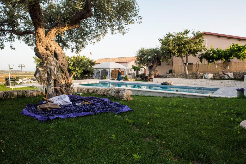 a blanket on the grass next to a tree next to a pool at Agriturismo Il Tenimento in Ispica