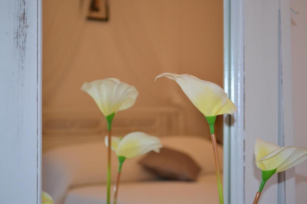 Dream Island Hotel - 4