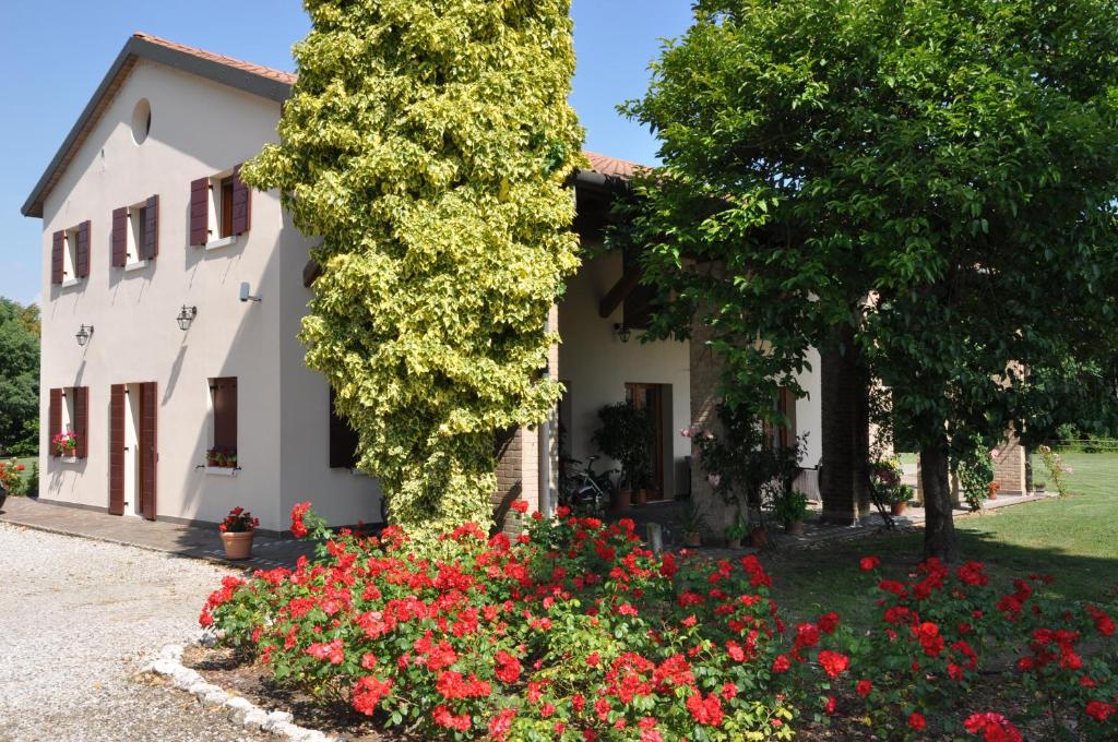 Ogród w obiekcie Agriturismo Ancillotto
