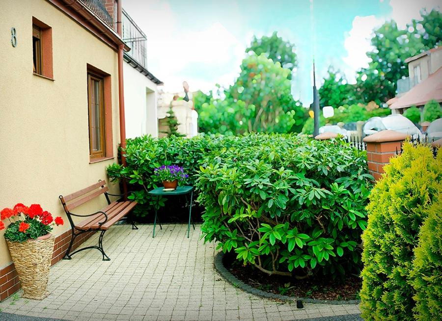 ウストカにあるApartamenty i Pokoje u Eliの花の垣根の横に座るベンチ