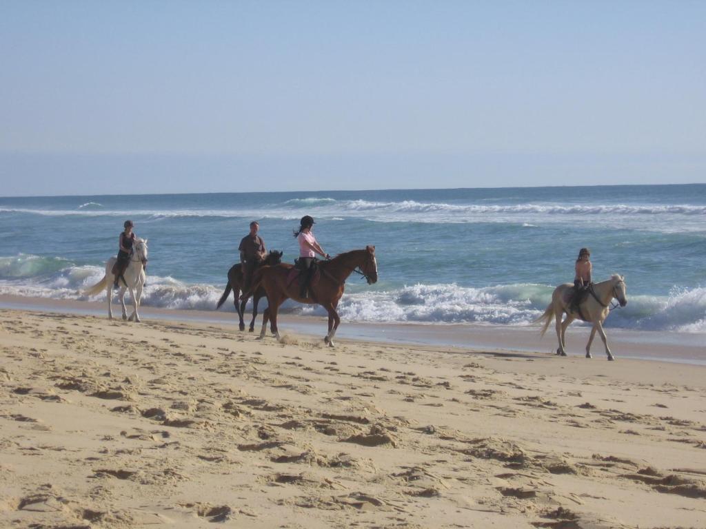 a group of people riding horses on the beach at Blue Ocean in Moliets-et-Maa