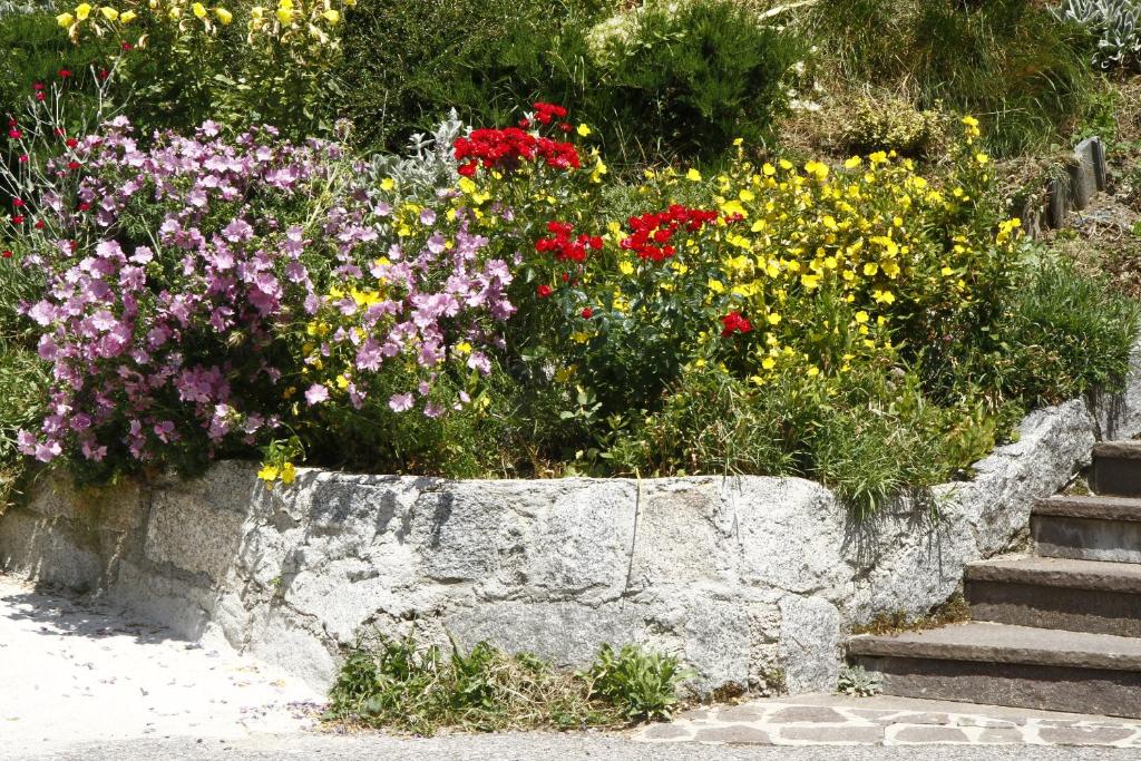 Ogród w obiekcie Adamello Brenta Sunshine