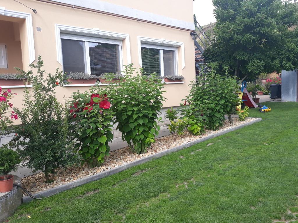 Zahrada ubytování Rita Apartman