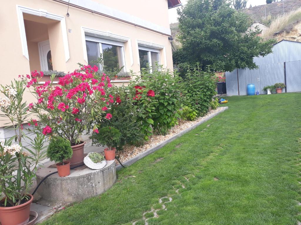 Zahrada ubytování Rita Apartman
