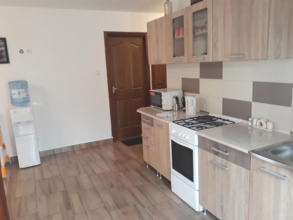 Kuchyň nebo kuchyňský kout v ubytování Rita Apartman
