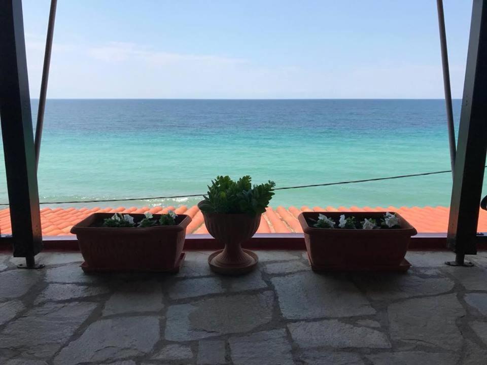 drie potplanten voor een raam met uitzicht op de oceaan bij beautiful home, by the sea,comfortable-siviri chalkidiki in Siviri
