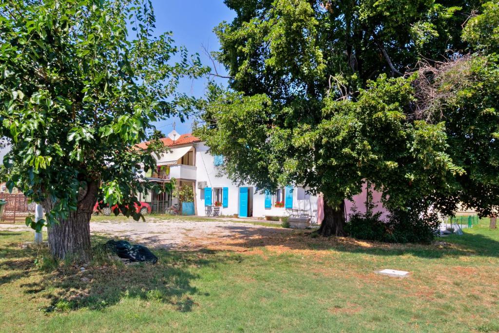Zahrada ubytování Apartmani Anna