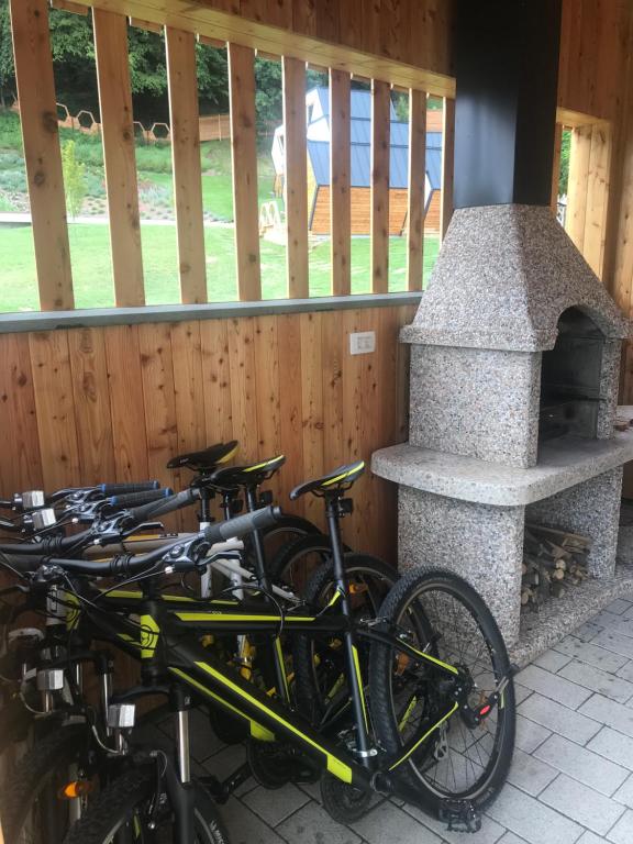 Jízda na kole v ubytování Apartments Beeland Skok nebo okolí