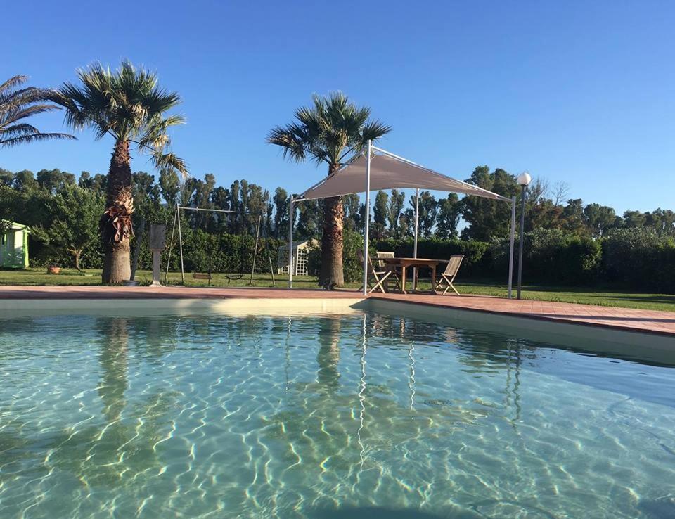 una piscina con tavolo e ombrellone di Tortuga Casa Vacanze a Scarlino