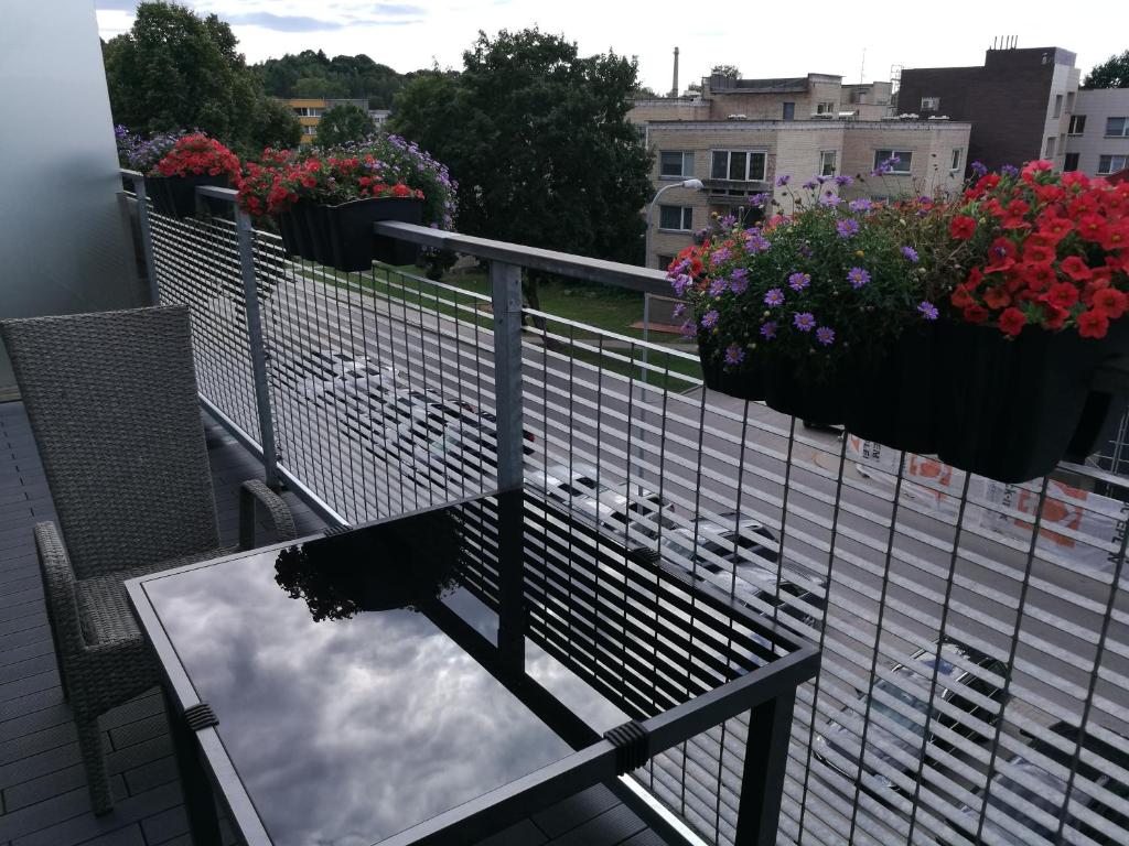 Balkón nebo terasa v ubytování Ąžuolo apartamentai